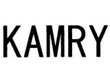 KAMRY日本9类商标出售